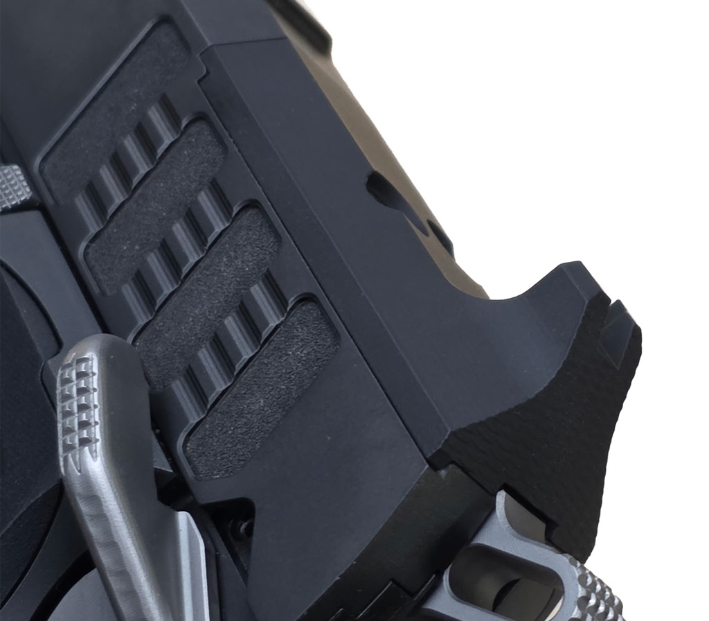 Fixed Rear Sight Plate, Hex Pro™