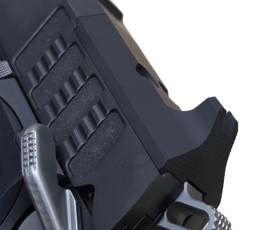 [HEXPRO-FIXED-REARSIGHT] Fixed Rear Sight Plate, Hex Pro™